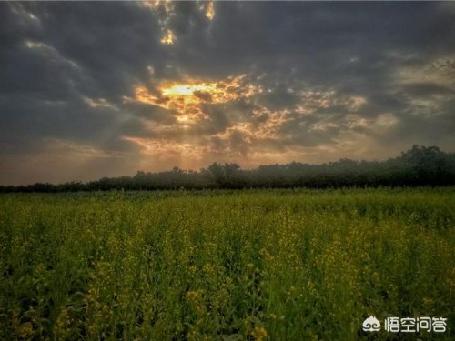 怎么把太阳拍出-怎么把太阳拍出光圈