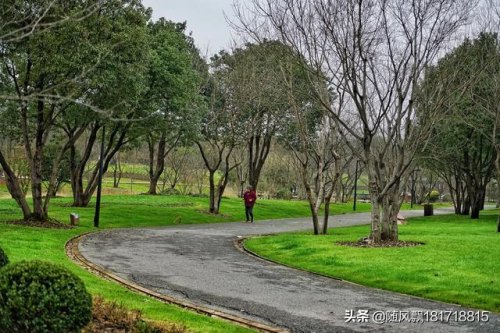 如何写拍摄方案-推广方案如何写