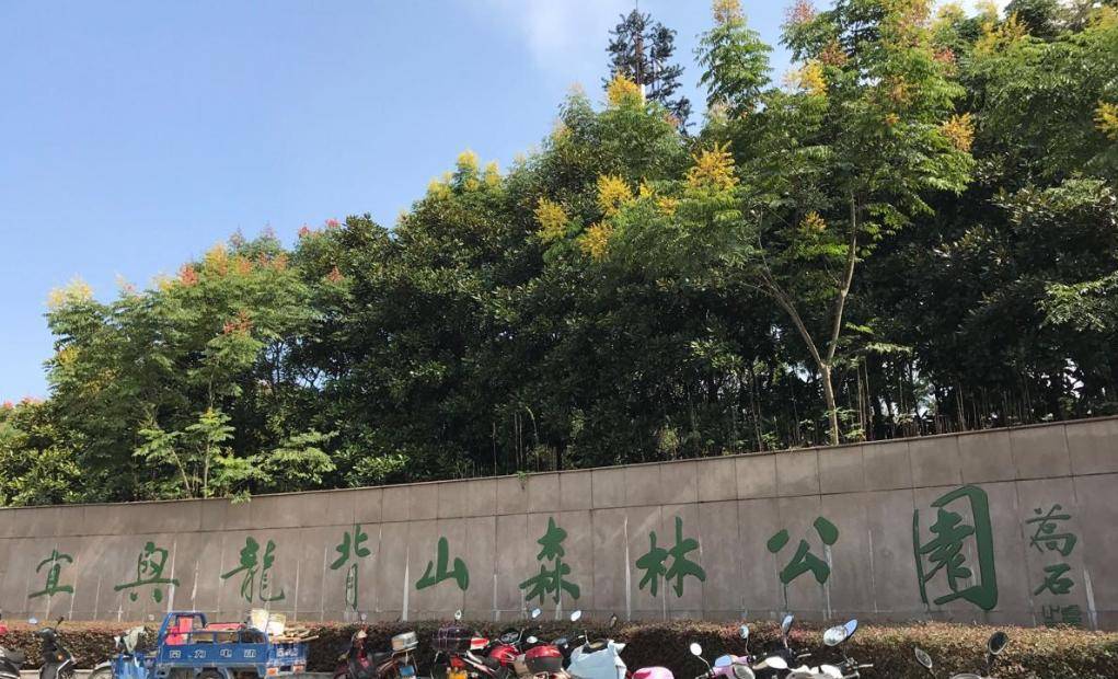 宜兴龙背山森林公园景点介绍，投资3亿多元占地面积550公顷