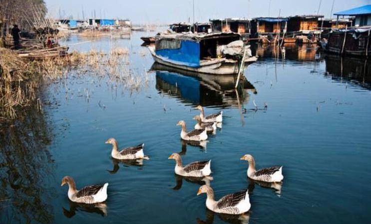 济宁微山湖湿地公园好玩吗？微山湖湿地公园介绍