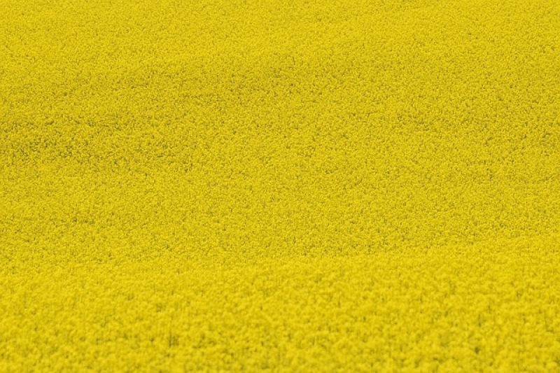 西安火车站到西安大雁塔怎么走-西安火车站到大雁塔有多远