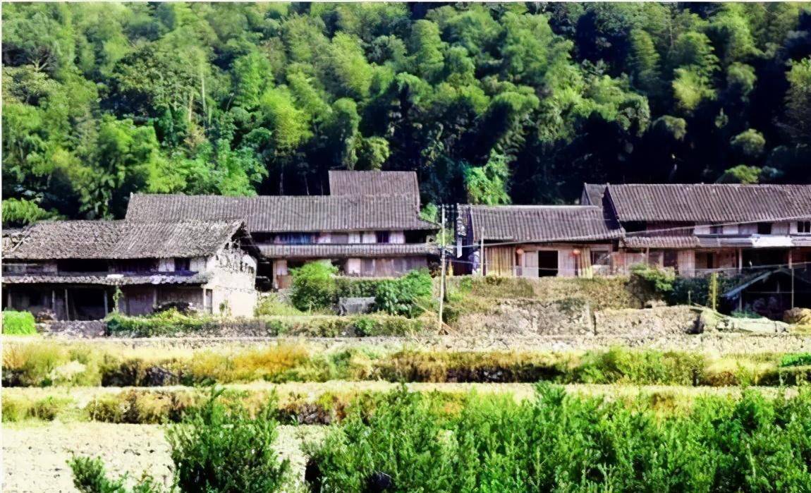 福建福鼎古村落有哪些？福建福鼎8个古村落介绍