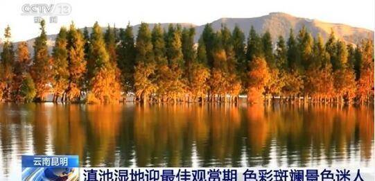 昆明湿地公园有哪些？昆明湿地公园哪里好玩