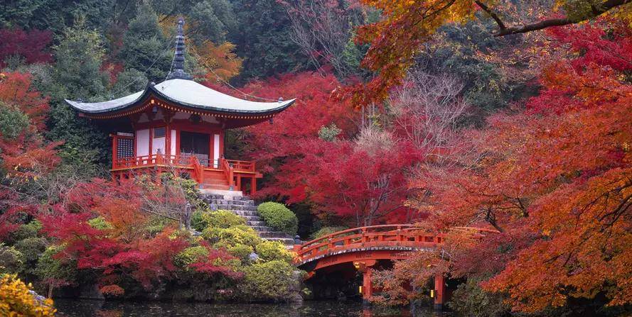 单身女生最好不要去日本旅游，除非你很有钱