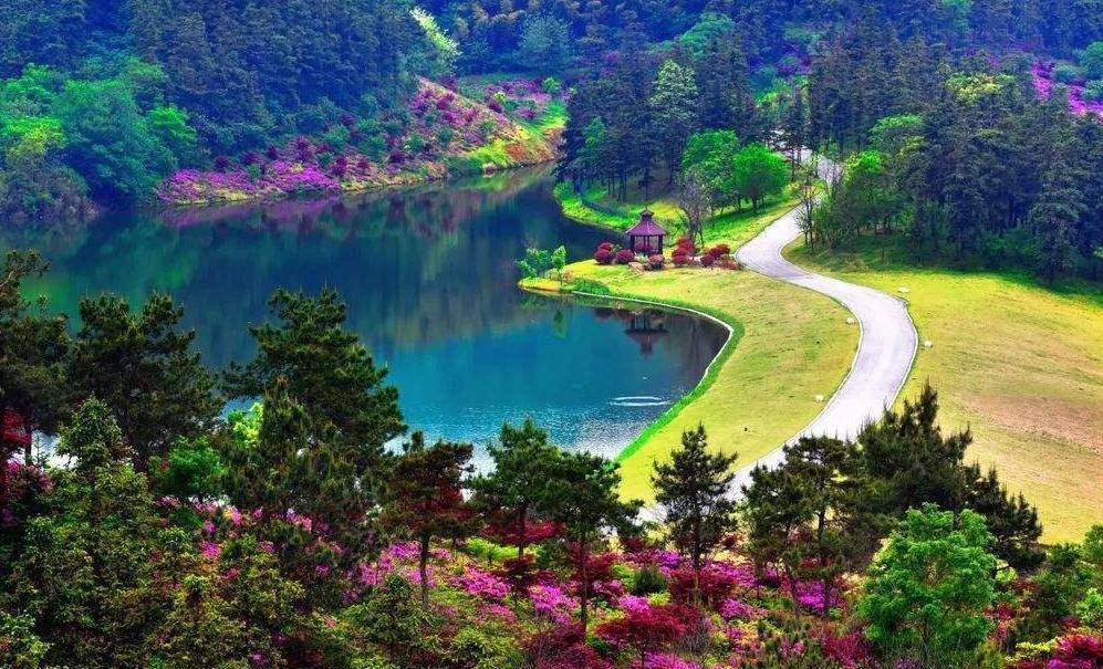 银杏湖休闲度假景区游玩介绍，江苏号称第一的景区