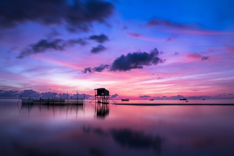 如何拍摄南浦大桥夜景？上海南浦大桥夜景视频