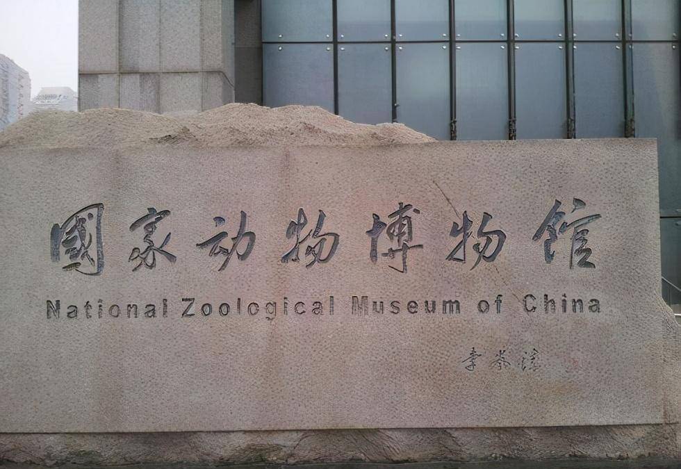 北京冬天适合去的地方，感受动物遛娃好去处