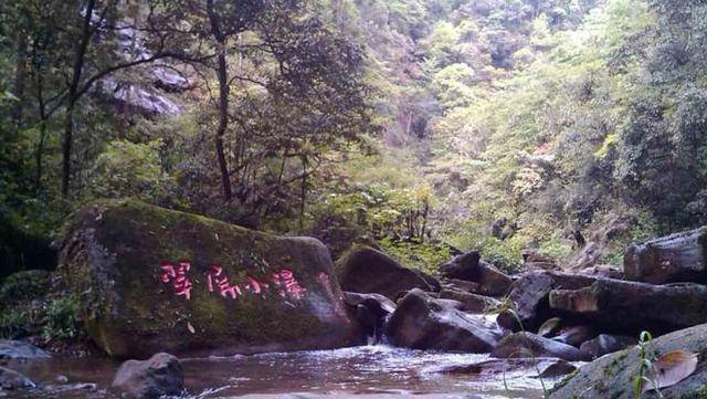 四川碧峰峡风景区游玩介绍，50多处瀑布海拔将近2000米