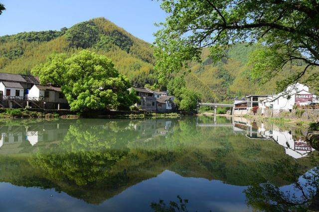 浙江中村游玩介绍，有山有水民风淳朴