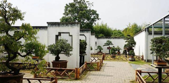 安徽黄山市歙县棠樾村游玩介绍，盆景精华南国风情