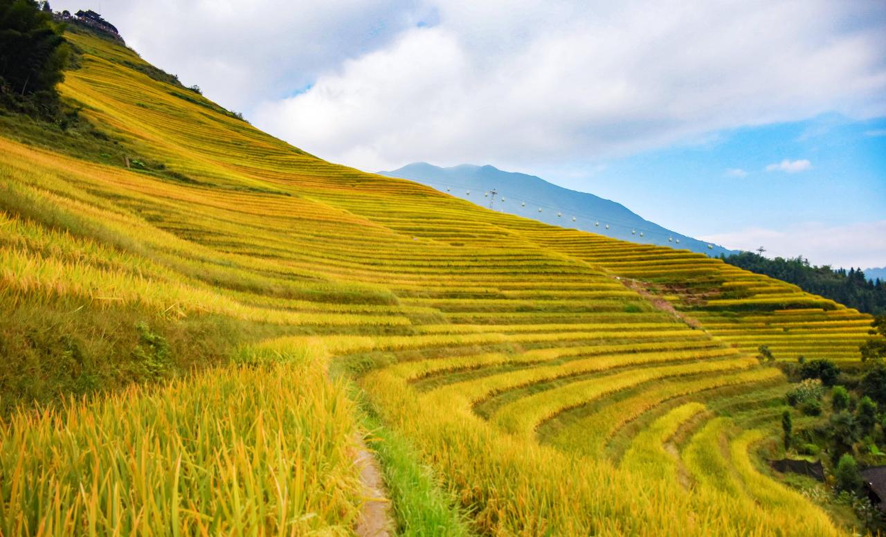 龙脊梯田旅游攻略和避坑指南