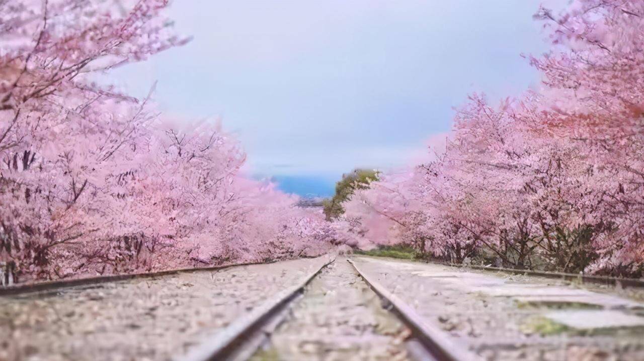 日本富士山是租来的？政府每年要付租金