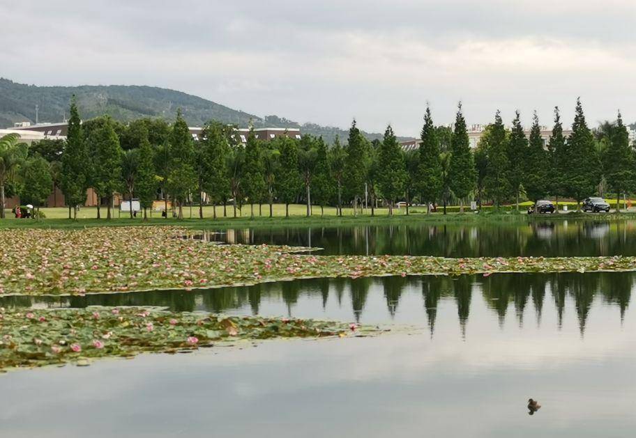 云南弥勒旅游攻略必去景点，旅行首选避寒避暑胜地