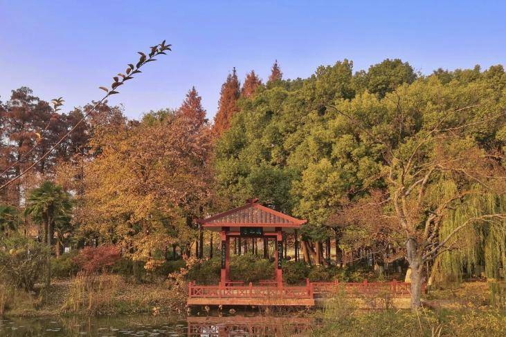 青山公园旅游攻略，武汉青山公园游玩介绍