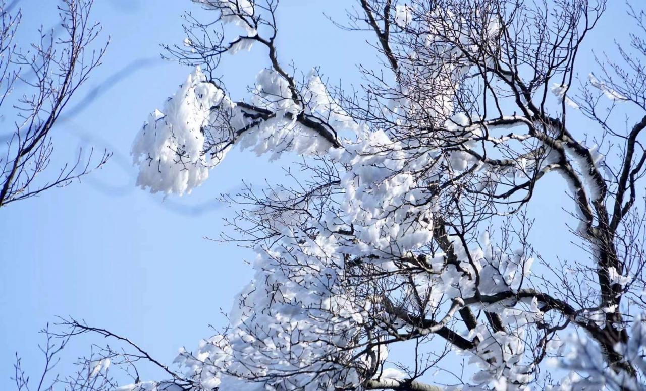 湖南郴州莽山下雪景观赏，银装素裹令人惊艳