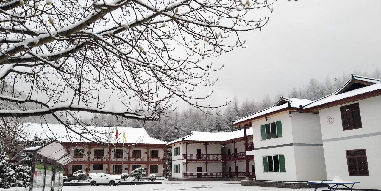 来四川看雪景，银装素裹玉树琼枝